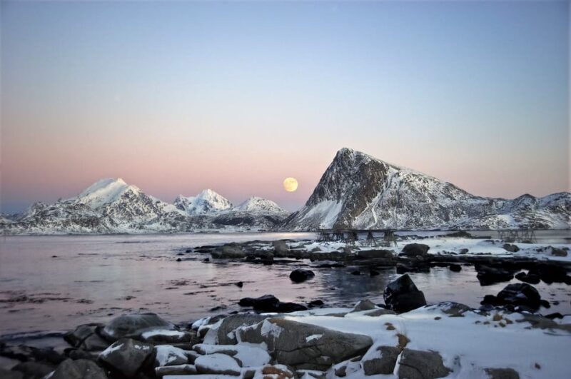 From Svolvaer: 2-Day Lofoten Highlights Photo Tour - Why This Tour Suits Photography Enthusiasts