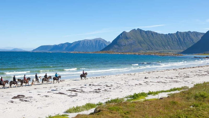 From Svolvær: Henningsvær Lofoten East Island Full Day Tour - The Practical Side of the Tour