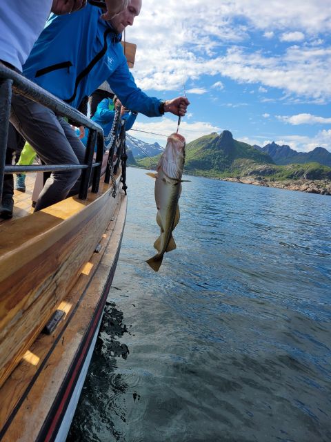 From Svolvaer: Lofoten Fishing Boat Cruise - Fishing Opportunities
