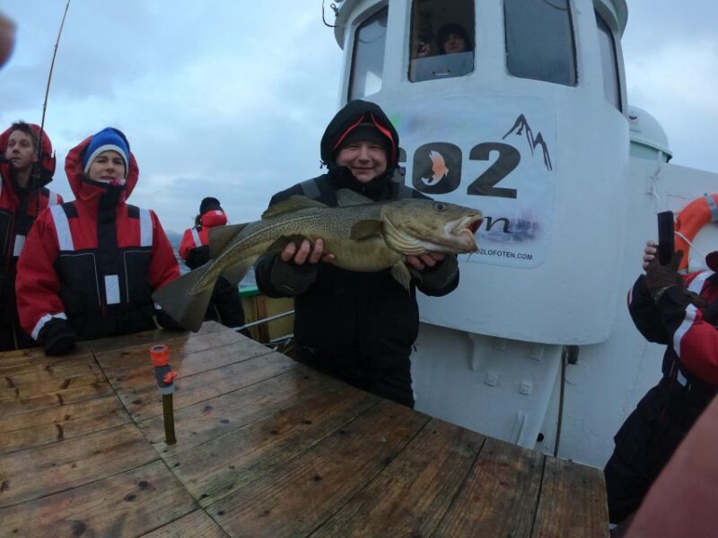 From Svolvaer: Lofoten Fishing Boat Cruise - Experience Highlights
