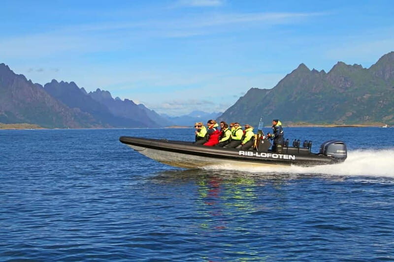 From Svolvær: Lofoten RIB Sea Eagle Safari Trollfjord Cruise - Key Points
