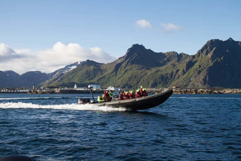 From Svolvær: Lofoten RIB Sea Eagle Safari Trollfjord Cruise - Authentic Experiences Based on Reviews