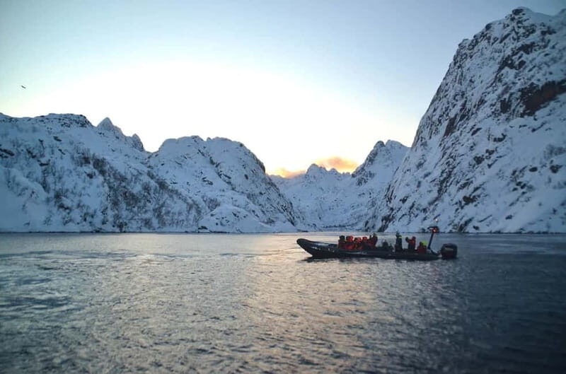 From Svolvær: Lofoten RIB Sea Eagle Safari Trollfjord Cruise - FAQ