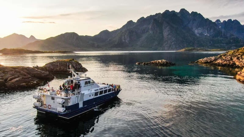 From Svolvær: Lofoten Trollfjord Cruise & Sea Eagle Safari - Introduction: A Scenic Norwegian Adventure