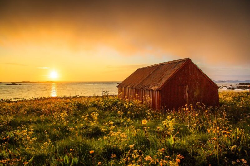 From Svolvær: Midnight Sun Photography Tour - Good To Know