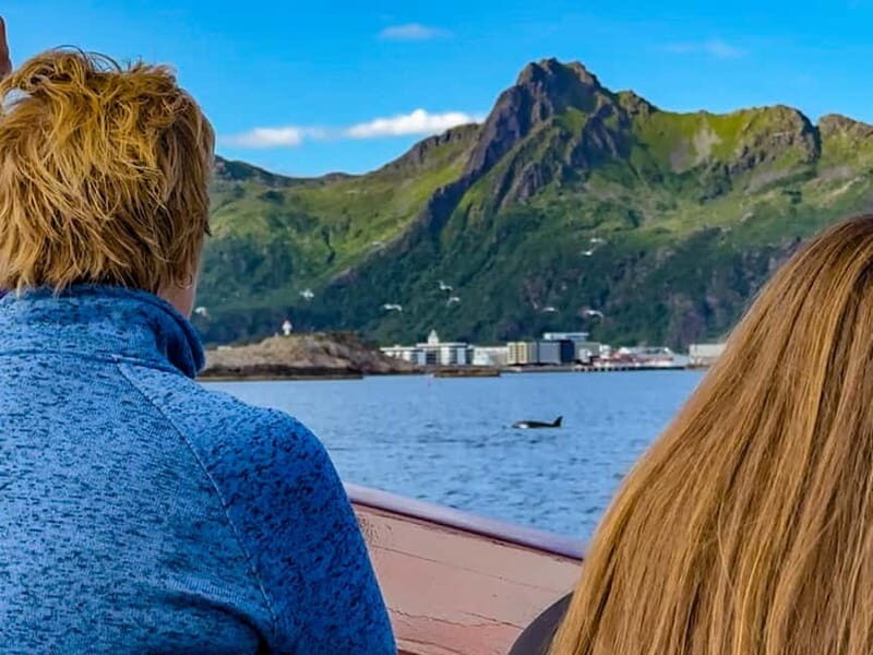 From Svolvær: Private Midnight Sun Yacht Cruise in Lofoten - The Sum Up: Who Is This Tour Perfect For?