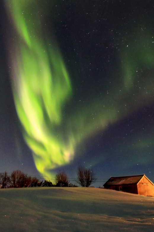 From Svolvaer: Private Northern Lights Search Trip - Good To Know