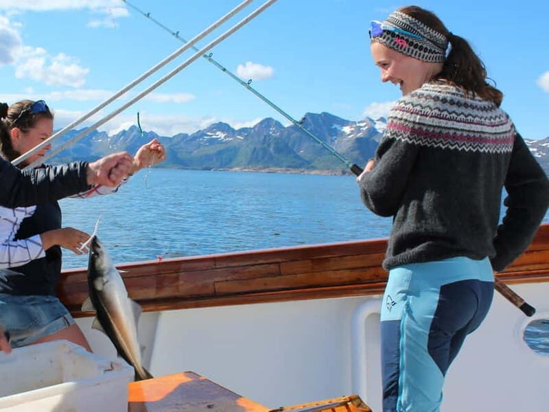 From Svolvær: Taste of Lofoten - Cultural Fishing Experience - Key Points  
