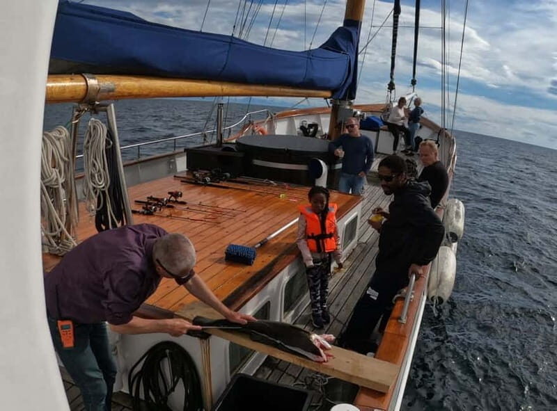 From Svolvær: Taste of Lofoten - Cultural Fishing Experience - What to Expect on the Tour