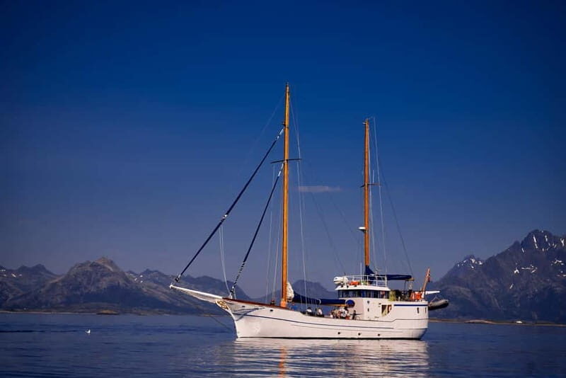 From Svolvær: Taste of Lofoten - Cultural Fishing Experience - The Sum Up