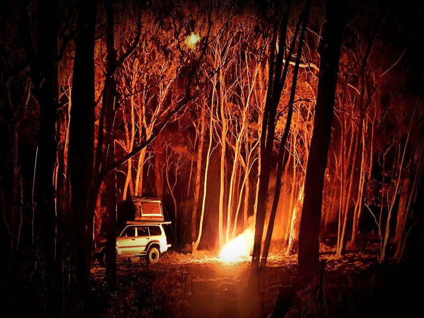 From Sydney: 2-Day Blue Mountains Camping 4WD & River Cruise - Pricing Details