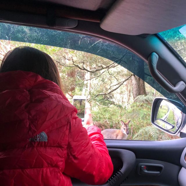 From Sydney: 2-Day Blue Mountains Camping 4WD & River Cruise - Frequently Asked Questions