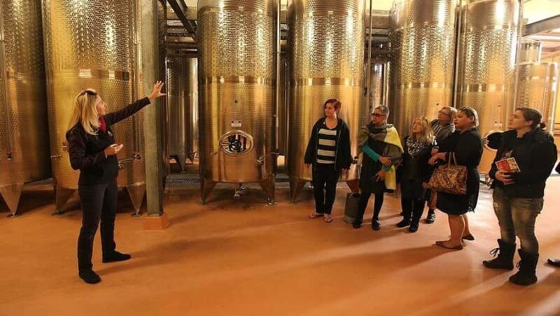 From Sydney: Award-Winning Hunter Valley Wine & Cheese Tour - An Overview of the Tour Experience