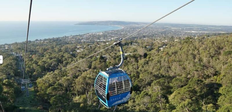 From Sydney: Blue Mountains and Featherdale Tour - Key Points