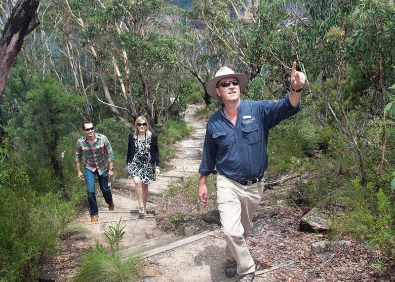 From Sydney: Blue Mountains Bushwalks & Featherdale Tour - Practical Details: What to Know Before You Book