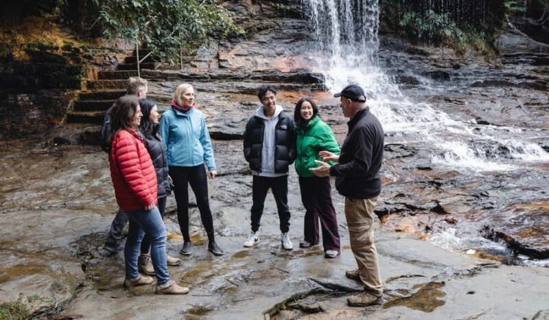 From Sydney: Blue Mountains Bushwalks & Featherdale Tour - Final Thoughts: Who Will Love This Tour?