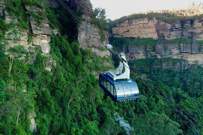 From Sydney Blue Mountains Day Tour and Hop-on, Hop-off Bus Tour - The Sum Up: Who Should Consider This Tour?