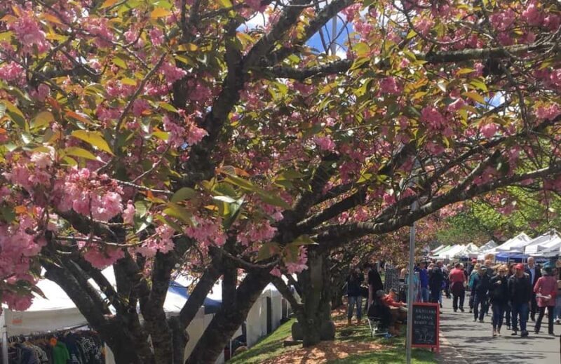 From Sydney: Blue Mountains Day Tour & Hop-on, Hop-off Tour - The Sum Up