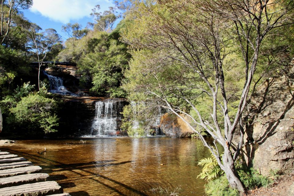 From Sydney: Blue Mountains Deluxe Tour - Transportation