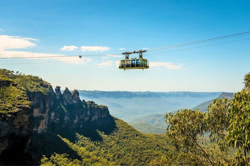 From Sydney: Blue Mountains, Scenic Railway, & Sydney Zoo - Value and Price Consideration