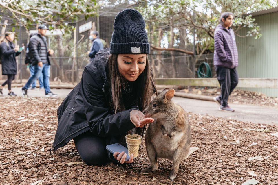 From Sydney: Blue Mountains, Scenic World All Inclusive Tour - Experience Highlights