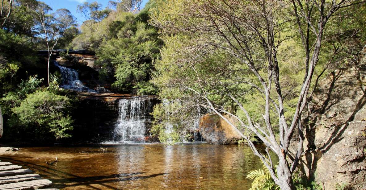 From Sydney: Blue Mountains, Sydney Zoo & Scenic World Tour - Itinerary Highlights
