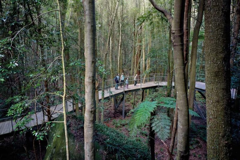 From Sydney: Blue Mountains, Sydney Zoo & Walking Tour - FAQs