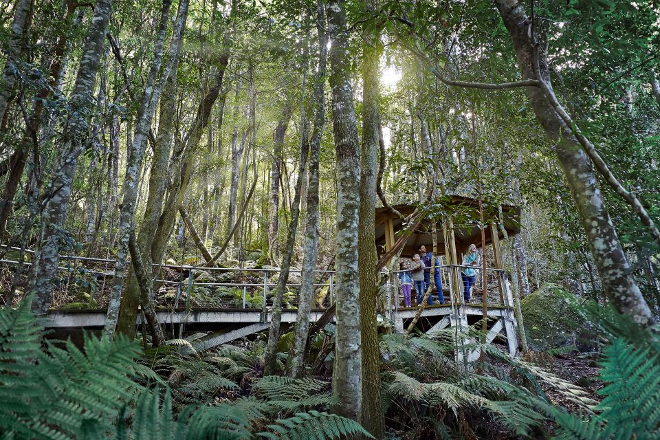 From Sydney: Blue Mountains, Three Sisters & Leura Day Tour - Important Information
