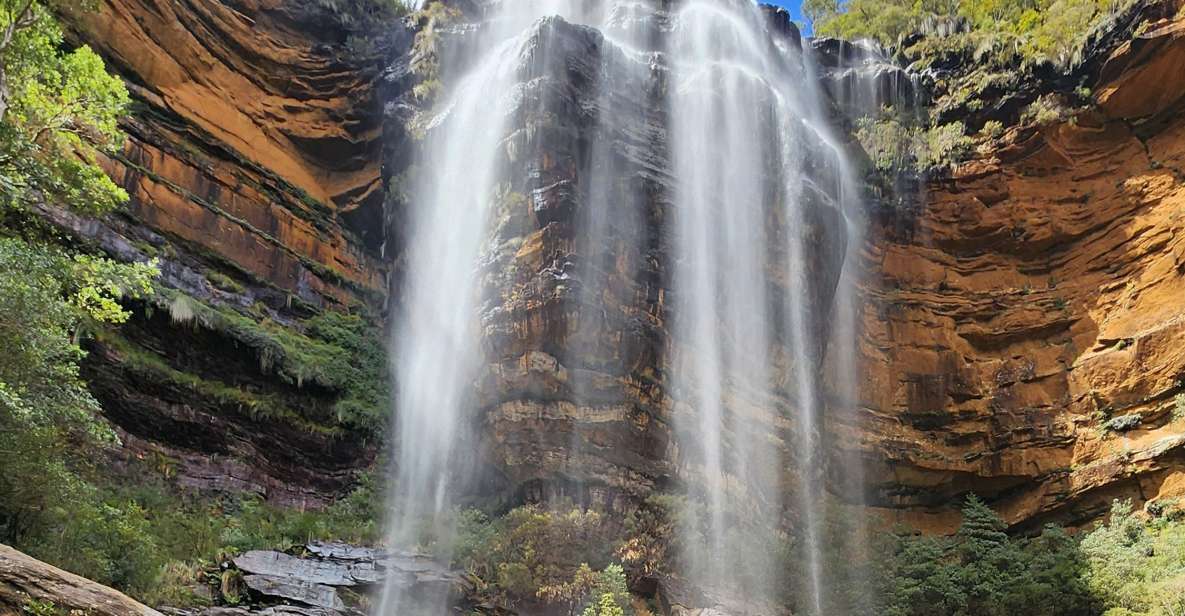 From Sydney: Blue Mountains Tour With Waterfall Walk & Lunch - Recap
