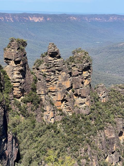 From Sydney: Blue Moutains and Featherdale Day Tour - Experience