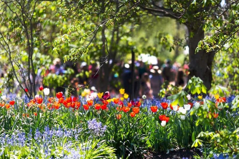 From Sydney: Canberra City Highlights and Floriade Day Tour - Practicalities: What to Know Before You Go