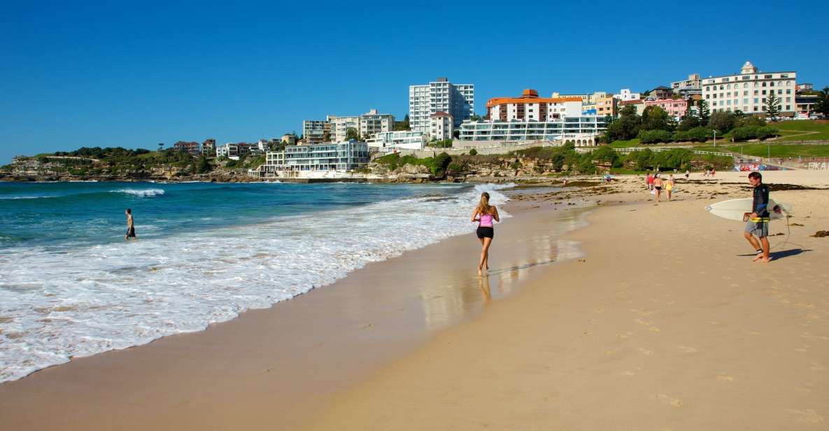 From Sydney: Full Day Tour of Golden Beaches and Ocean Vista - Key Points