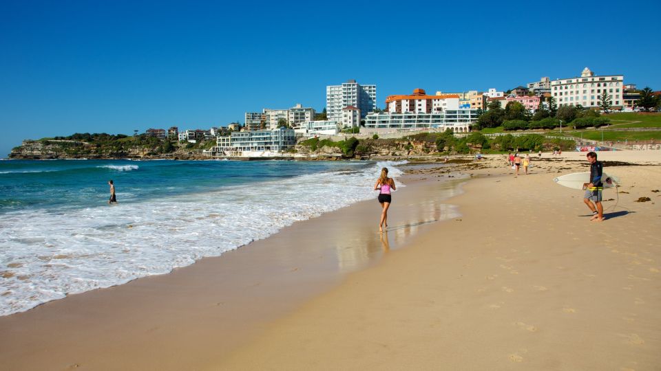 From Sydney: Full Day Tour of Golden Beaches and Ocean Vista - Experience Highlights
