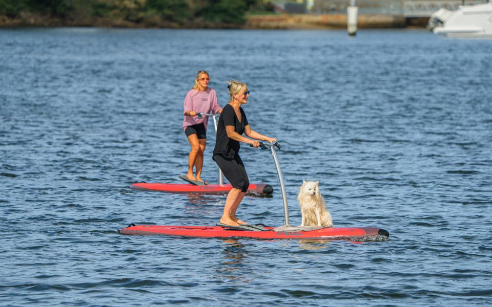 From Sydney: Full Day Tour of Golden Beaches and Ocean Vista - Booking Information