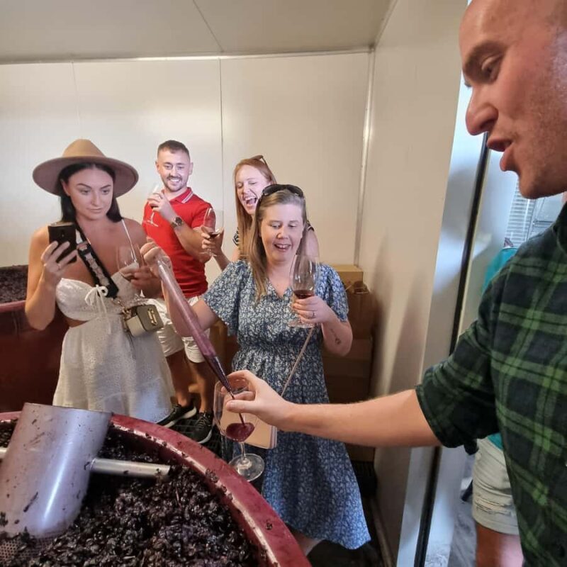 From Sydney: Hunter Valley Wine, Gin & Food Tastings Tour - Who Would Love This Tour?