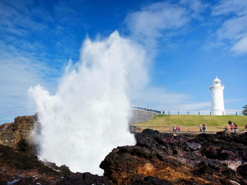 From Sydney: Kiama & South Coast Scenic Private Tour - What We Loved and What to Consider