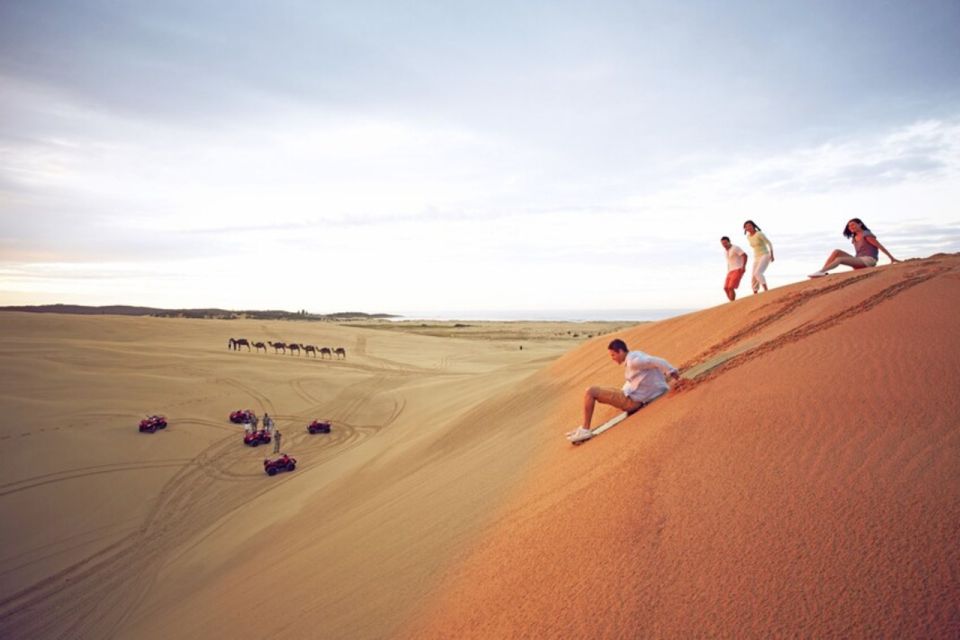 From Sydney: Port Stephens Dolphin Cruise & 4WD Sandboarding - Itinerary