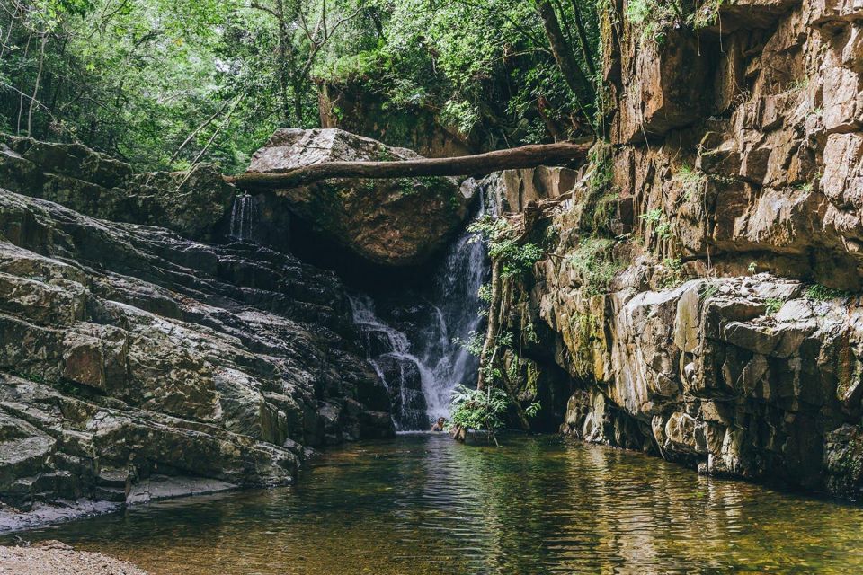 From Sydney| Private Blue Mountains Tour| Waterfalls & Views - Key Points