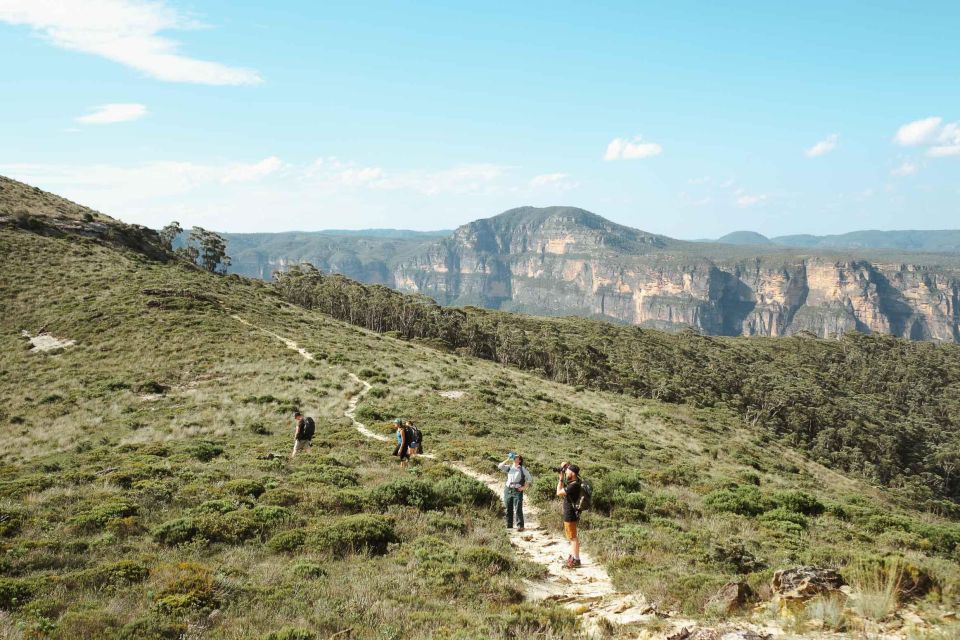 From Sydney| Private Blue Mountains Tour| Waterfalls & Views - Language and Pickup Locations