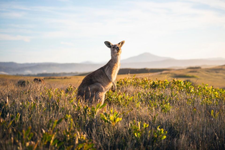 From Sydney| Private Blue Mountains Tour| Waterfalls & Views - Inclusions and Itinerary