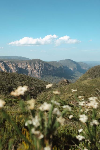 From Sydney| Private Blue Mountains Tour| Waterfalls & Views - Customization and Customer Rating