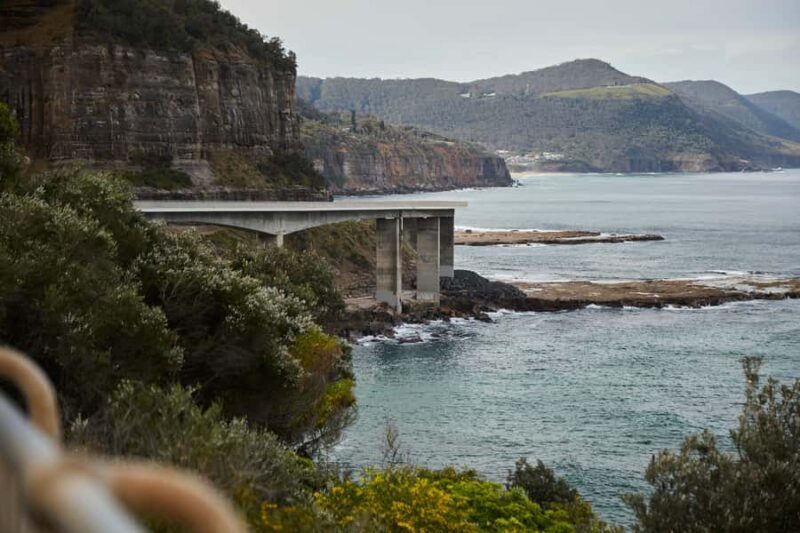 From Sydney: Royal National Park Private Tour - Analyzing the Price & Value