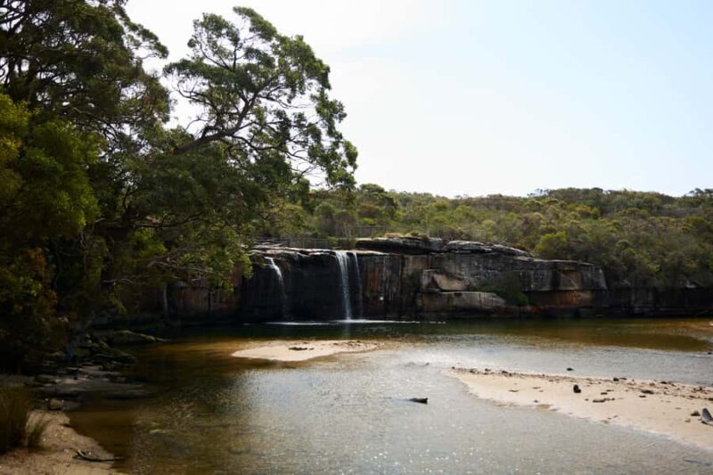 From Sydney: Royal National Park Private Tour - Final Thoughts