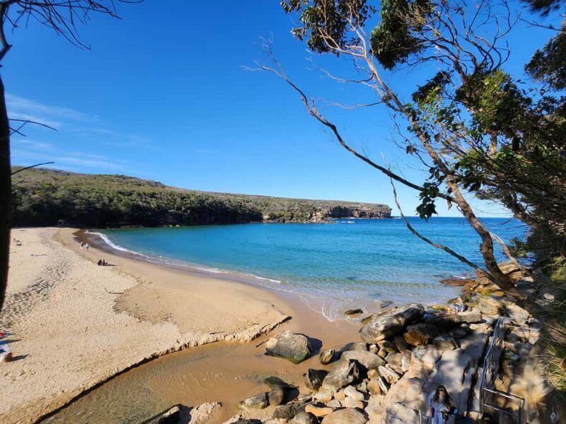 From Sydney: Royal National Park, Wollongong, and Kiama Tour - Key Points