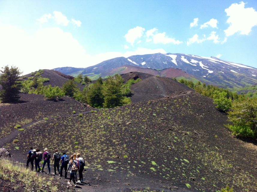From Syracuse: Etna Tour With Light Lunch and Wine Tasting - Hiking on Mount Etna