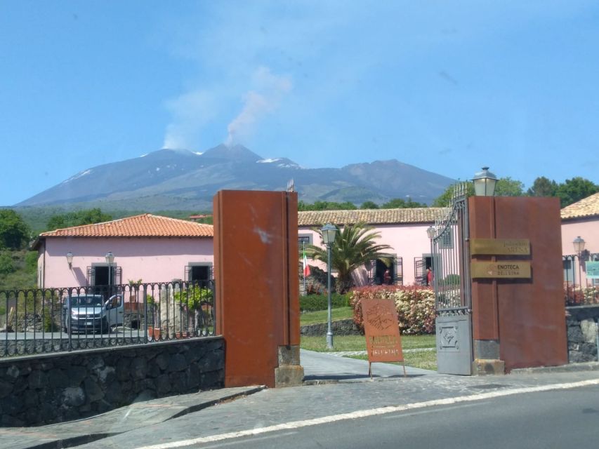 From Syracuse: Mt. Etna Trekking Day Trip With Wine Tasting - Important Considerations