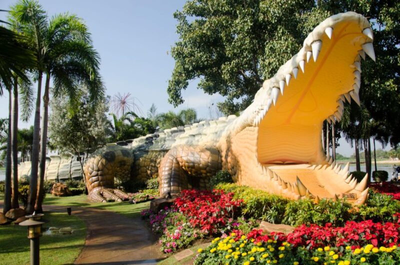 From Taghazout: Agadir Crocoparc Ticket and Transfer - Experience Highlights
