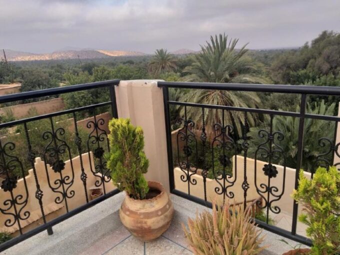 From Taghazout/Agadir: Taroudant and Tiout Day Trip & Tajine - Customer Feedback and Recommendations