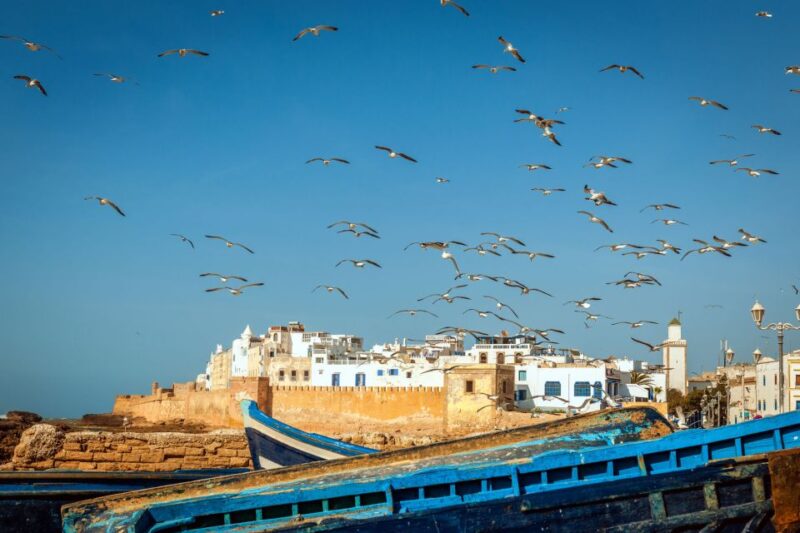 From Taghazout: Medina of Essaouira Guided Day Trip - Trip Overview