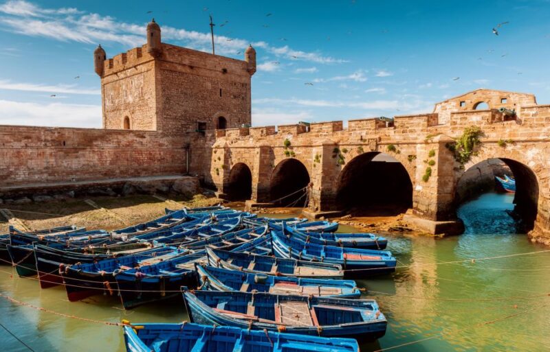 From Taghazout: Medina of Essaouira Guided Day Trip - Pricing Details